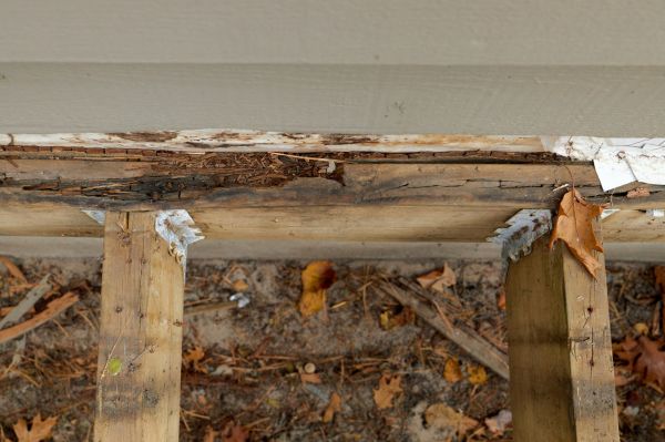 Louisville Wood Rot Repair
