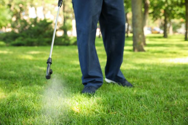 Louisville Lawn Treatment