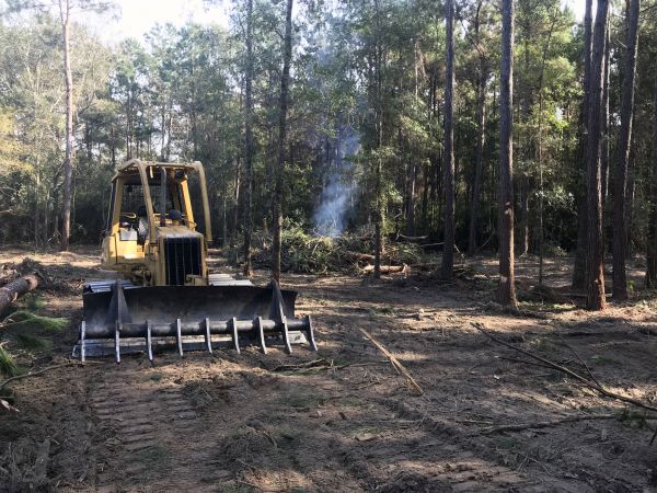 Louisville Land Clearing